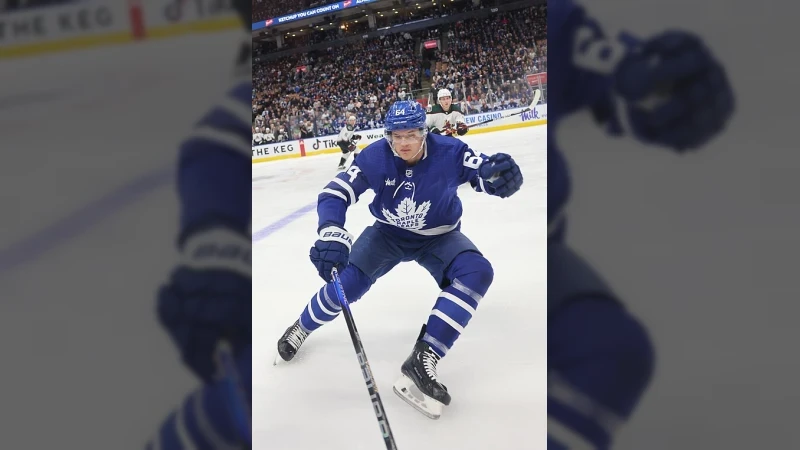Kämpf se vrátil z NHL a už pálí. Litvínovu pomohl k obratu