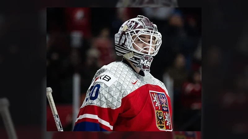 Další Čech klepe na dveře NHL. Hrabal dostane šanci v Utahu