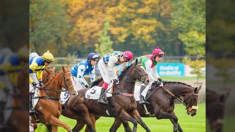 Vítězem Velké pardubické je Final Orders! Irský žokej Donoghue obhájil vítězství